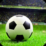 bsport